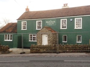 Hollybush